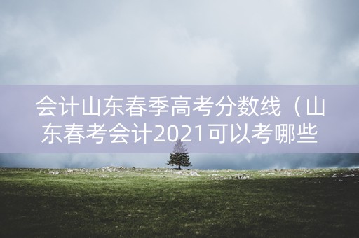 会计山东春季高考分数线（山东春考会计2021可以考哪些本科学校）