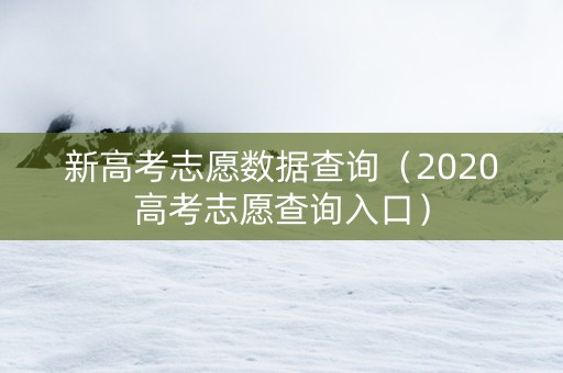 新高考志愿数据查询（2020高考志愿查询入口）