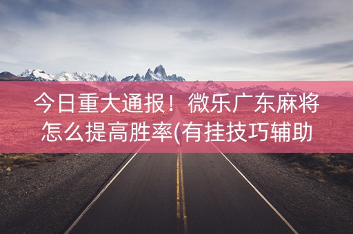 今日重大通报！微乐广东麻将怎么提高胜率(有挂技巧辅助器)