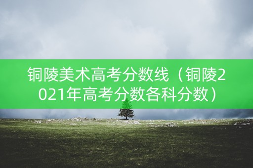 铜陵美术高考分数线（铜陵2021年高考分数各科分数）