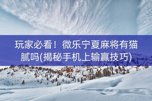 玩家必看！微乐宁夏麻将有猫腻吗(揭秘手机上输赢技巧)