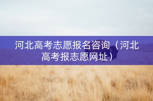 河北高考志愿报名咨询（河北高考报志愿网址）