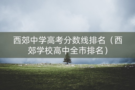 西郊中学高考分数线排名（西郊学校高中全市排名）