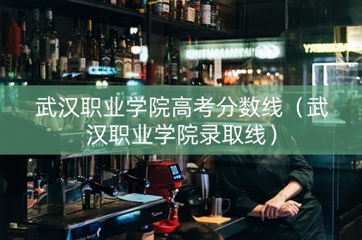 武汉职业学院高考分数线（武汉职业学院录取线）