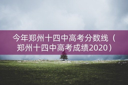 今年郑州十四中高考分数线（郑州十四中高考成绩2020）