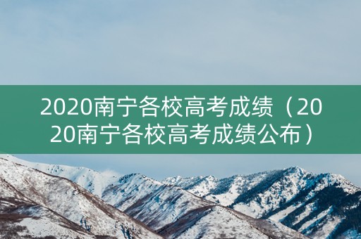 2020南宁各校高考成绩（2020南宁各校高考成绩公布）