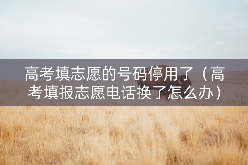 高考填志愿的号码停用了（高考填报志愿电话换了怎么办）