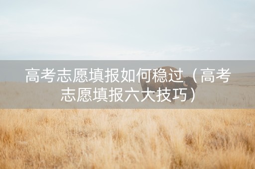 高考志愿填报如何稳过（高考志愿填报六大技巧）