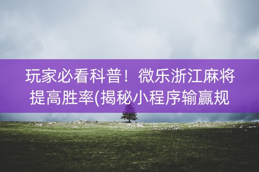 玩家必看科普！微乐浙江麻将提高胜率(揭秘小程序输赢规律)