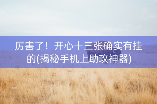 厉害了！开心十三张确实有挂的(揭秘手机上助攻神器)