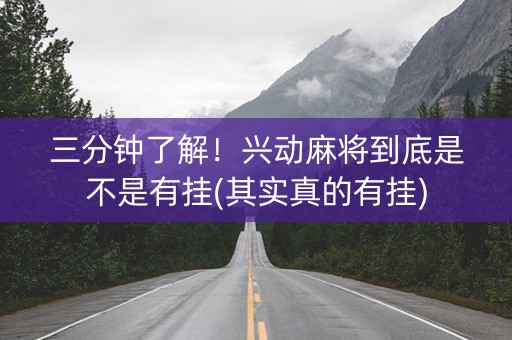 三分钟了解！兴动麻将到底是不是有挂(其实真的有挂)