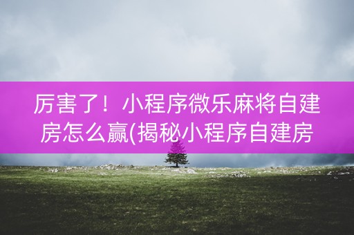 厉害了！小程序微乐麻将自建房怎么赢(揭秘小程序自建房怎么赢)