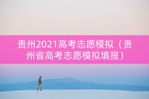 贵州2021高考志愿模拟（贵州省高考志愿模拟填报）