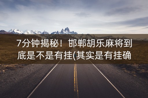 7分钟揭秘！邯郸胡乐麻将到底是不是有挂(其实是有挂确实有挂)