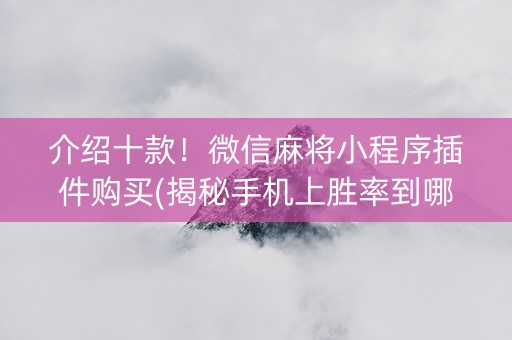 介绍十款！微信麻将小程序插件购买(揭秘手机上胜率到哪调)