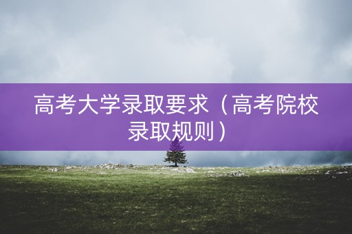 高考大学录取要求（高考院校录取规则）