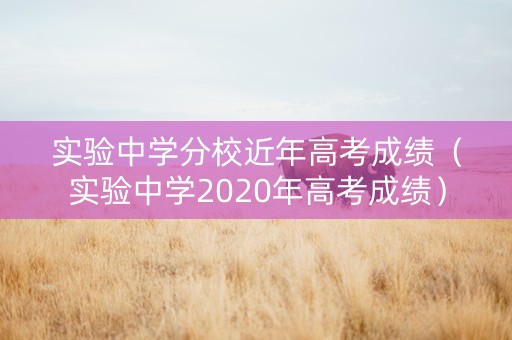 实验中学分校近年高考成绩（实验中学2020年高考成绩）