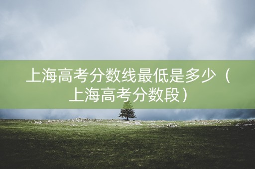 上海高考分数线最低是多少（上海高考分数段）