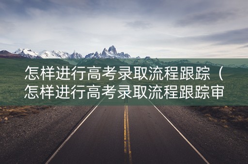 怎样进行高考录取流程跟踪（怎样进行高考录取流程跟踪审核）