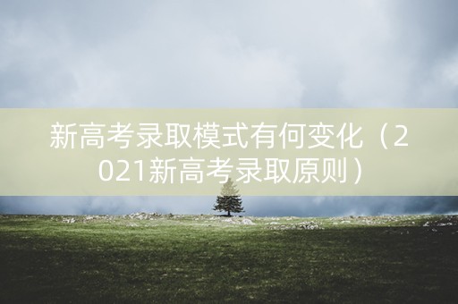 新高考录取模式有何变化（2021新高考录取原则）