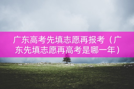 广东高考先填志愿再报考（广东先填志愿再高考是哪一年）