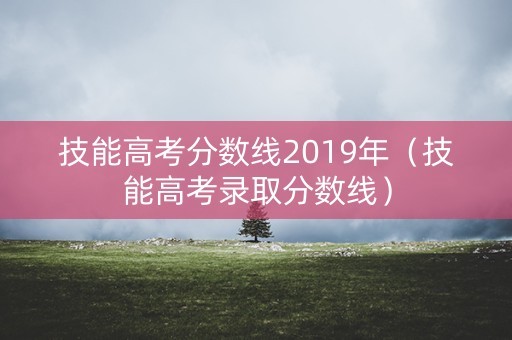 技能高考分数线2019年（技能高考录取分数线）