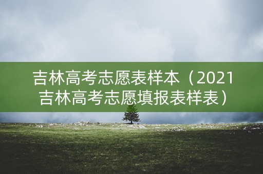 吉林高考志愿表样本（2021吉林高考志愿填报表样表）