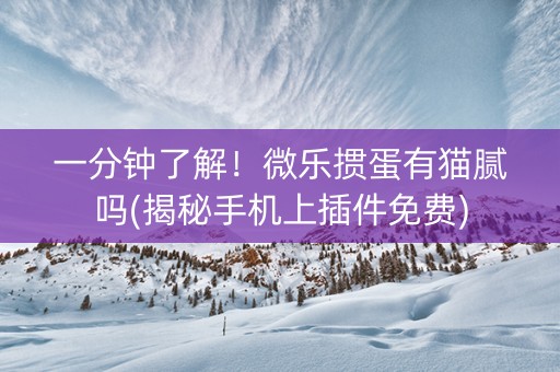 一分钟了解！微乐掼蛋有猫腻吗(揭秘手机上插件免费)