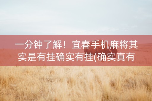 一分钟了解！宜春手机麻将其实是有挂确实有挂(确实真有挂)