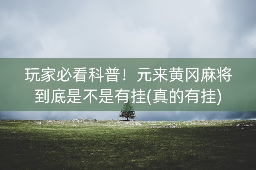 玩家必看科普！元来黄冈麻将到底是不是有挂(真的有挂)