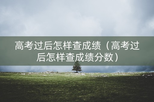 高考过后怎样查成绩（高考过后怎样查成绩分数）