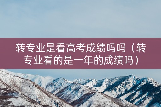 转专业是看高考成绩吗吗（转专业看的是一年的成绩吗）
