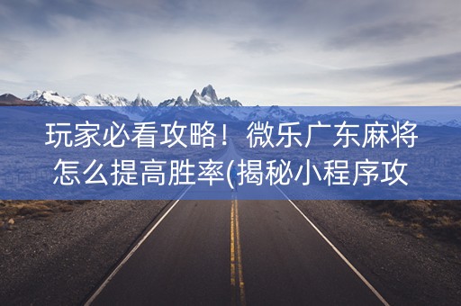 玩家必看攻略！微乐广东麻将怎么提高胜率(揭秘小程序攻略插件)