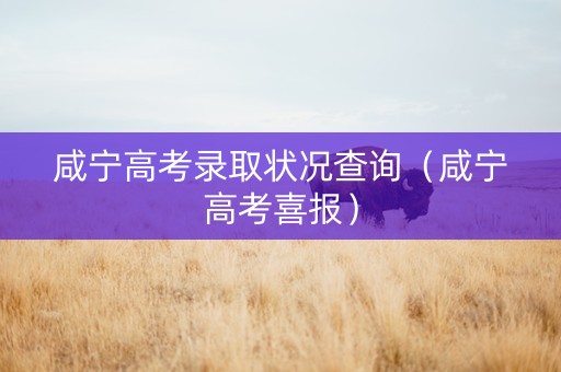 咸宁高考录取状况查询（咸宁高考喜报）