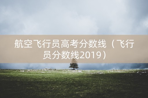 航空飞行员高考分数线（飞行员分数线2019）
