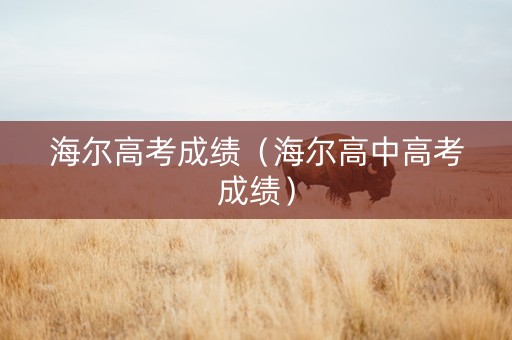 海尔高考成绩（海尔高中高考成绩）