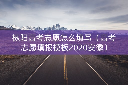 枞阳高考志愿怎么填写（高考志愿填报模板2020安徽）