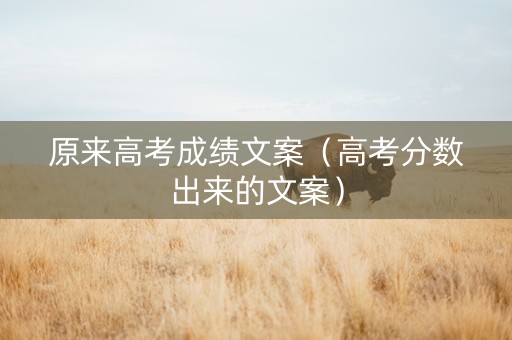 原来高考成绩文案（高考分数出来的文案）