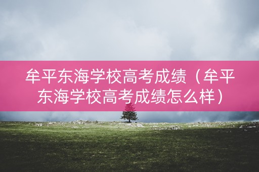 牟平东海学校高考成绩（牟平东海学校高考成绩怎么样）