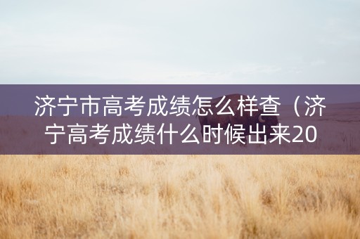 济宁市高考成绩怎么样查（济宁高考成绩什么时候出来2021）