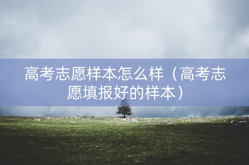 高考志愿样本怎么样（高考志愿填报好的样本）