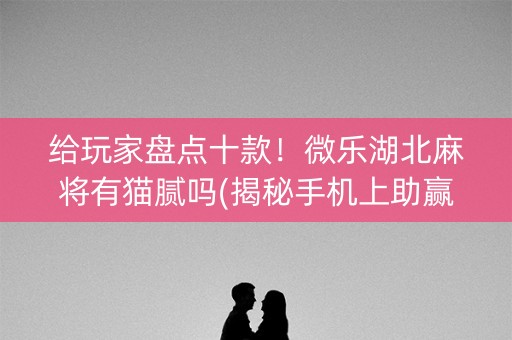 给玩家盘点十款！微乐湖北麻将有猫腻吗(揭秘手机上助赢神器)
