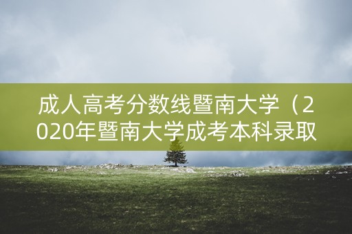 成人高考分数线暨南大学（2020年暨南大学成考本科录取分数线）