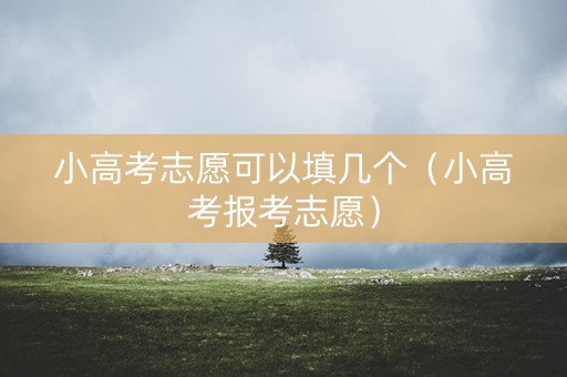 小高考志愿可以填几个（小高考报考志愿）