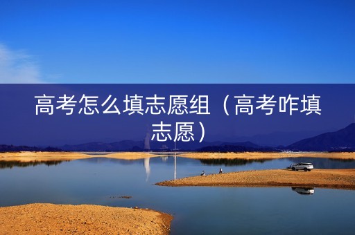 高考怎么填志愿组（高考咋填志愿）