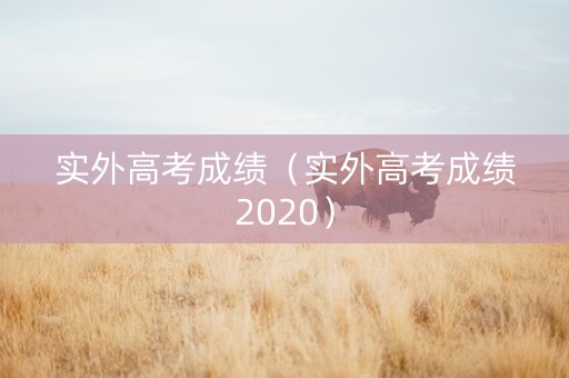 实外高考成绩（实外高考成绩2020）