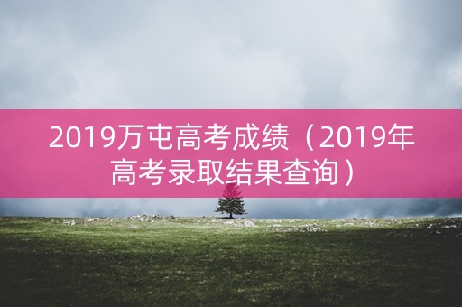 2019万屯高考成绩（2019年高考录取结果查询）