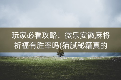 玩家必看攻略！微乐安徽麻将祈福有胜率吗(猫腻秘籍真的有挂)