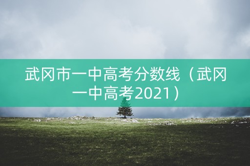 武冈市一中高考分数线（武冈一中高考2021）
