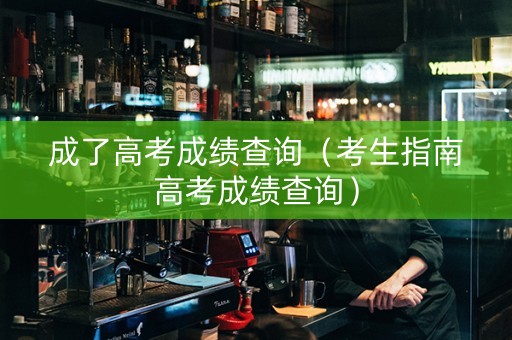 成了高考成绩查询（考生指南高考成绩查询）